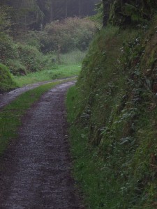 Road in front of my grandmother's house in Ireland