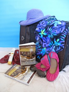 Suitcase and books for trip