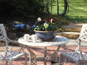 Coffee Cups on a table