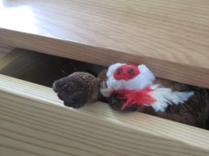 Simon in  a drawer